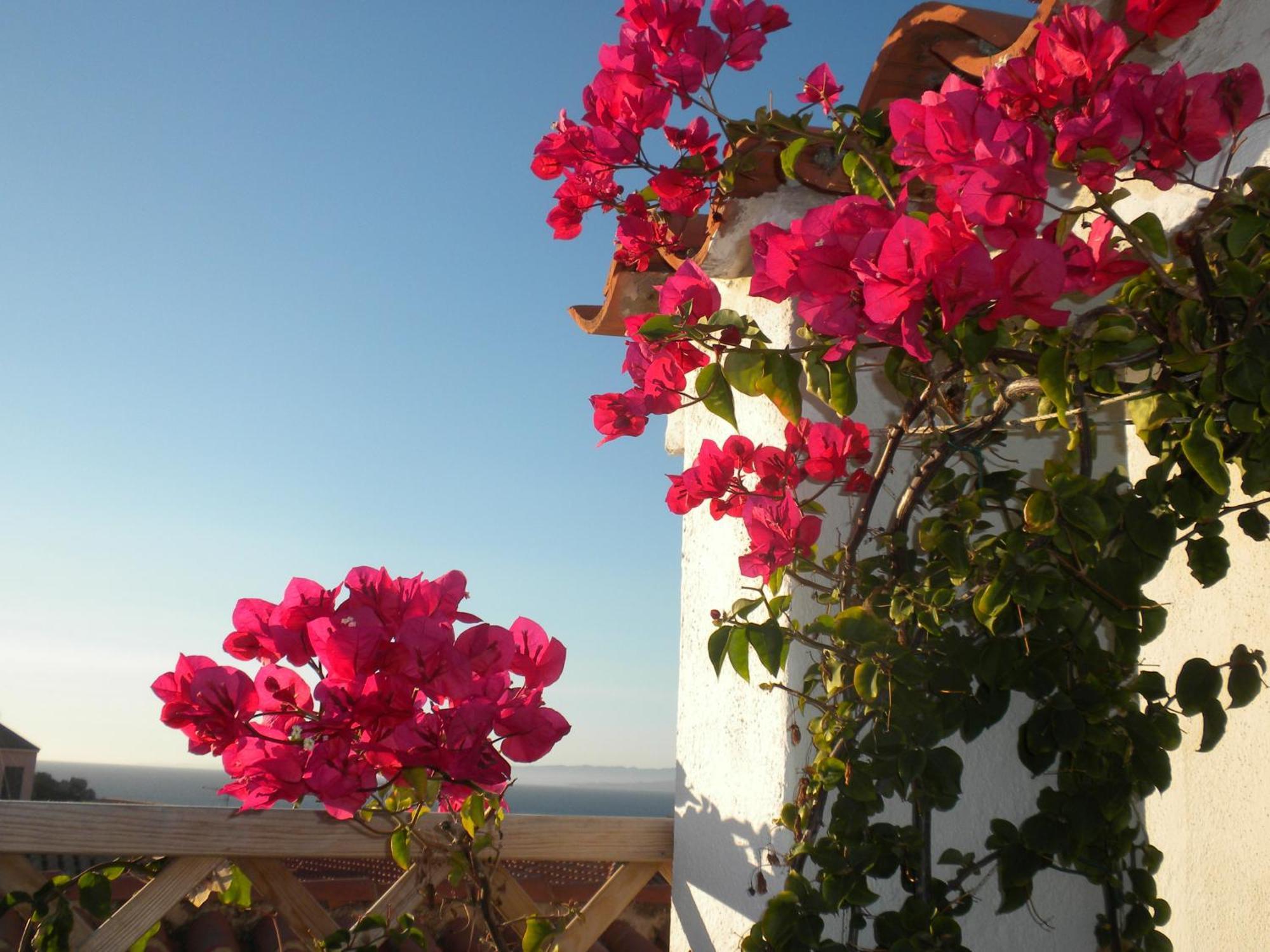 B&B Domus De Janas ซานตา เตเรซา กัลลูรา ภายนอก รูปภาพ